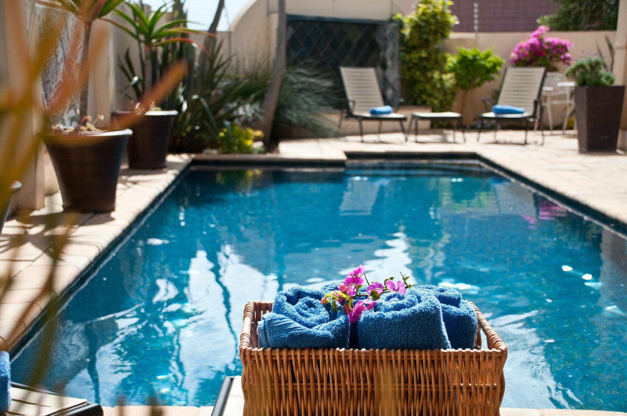 Cape Flame Guest House Port Elizabeth Eksteriør billede